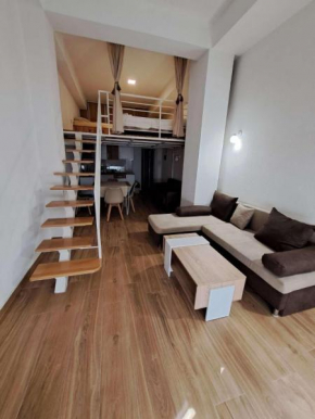 Apartmani Sele